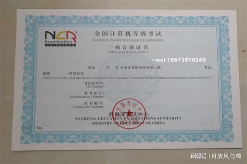 电子商务专业需要考的证
