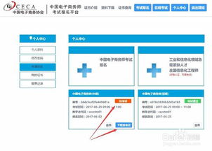 电子商务师考试专业要求